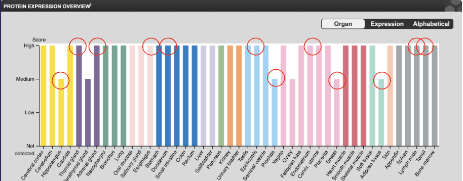 Protein expression overview chart
